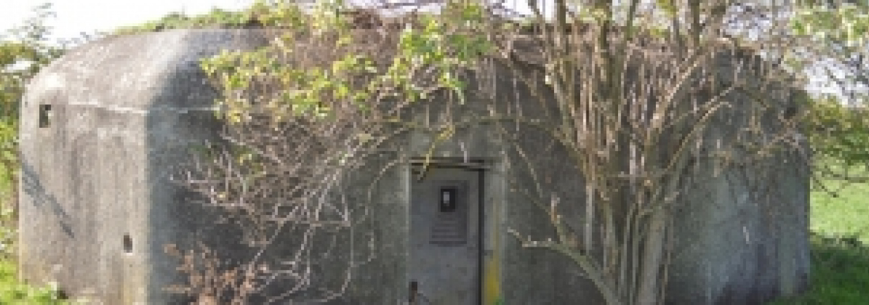 brezi-u-mikulova-vec-696ol-prehled