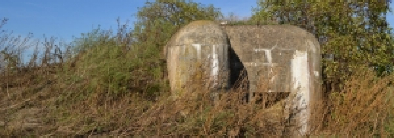 brezi-u-mikulova-vec-699ol-prehled