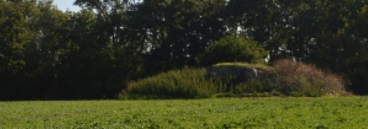 brezi-u-mikulova-vec-701ol-prehled