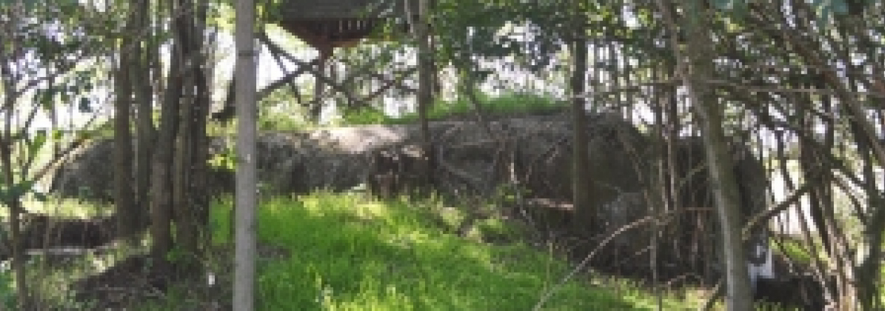 brezi-u-mikulova-vec-702ol-prehled