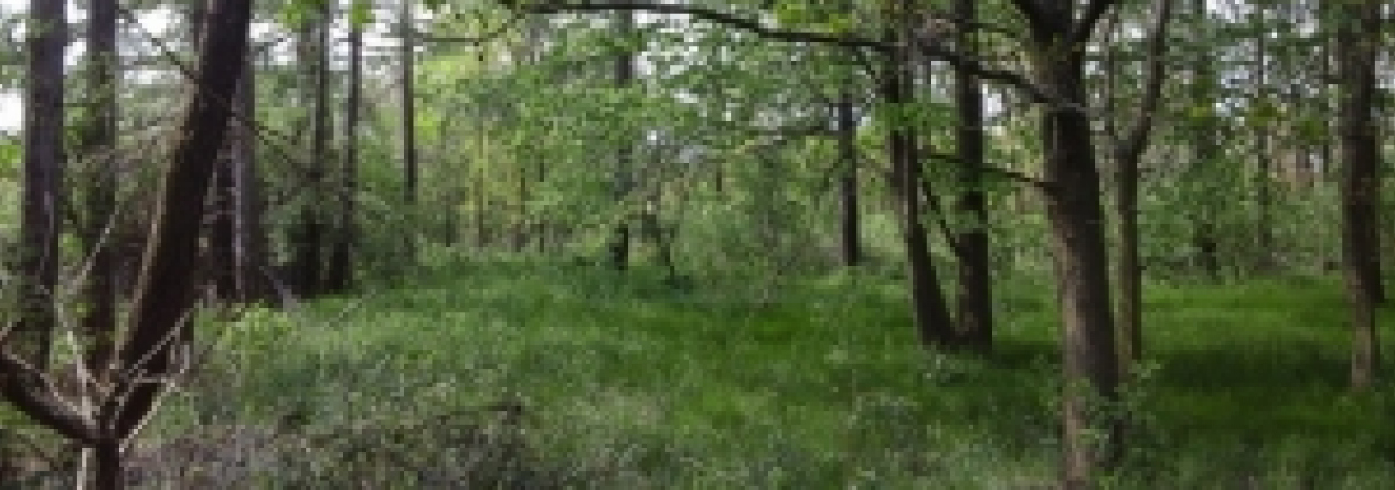 cervene-pecky-pc-1564-1566-539-2-prehled