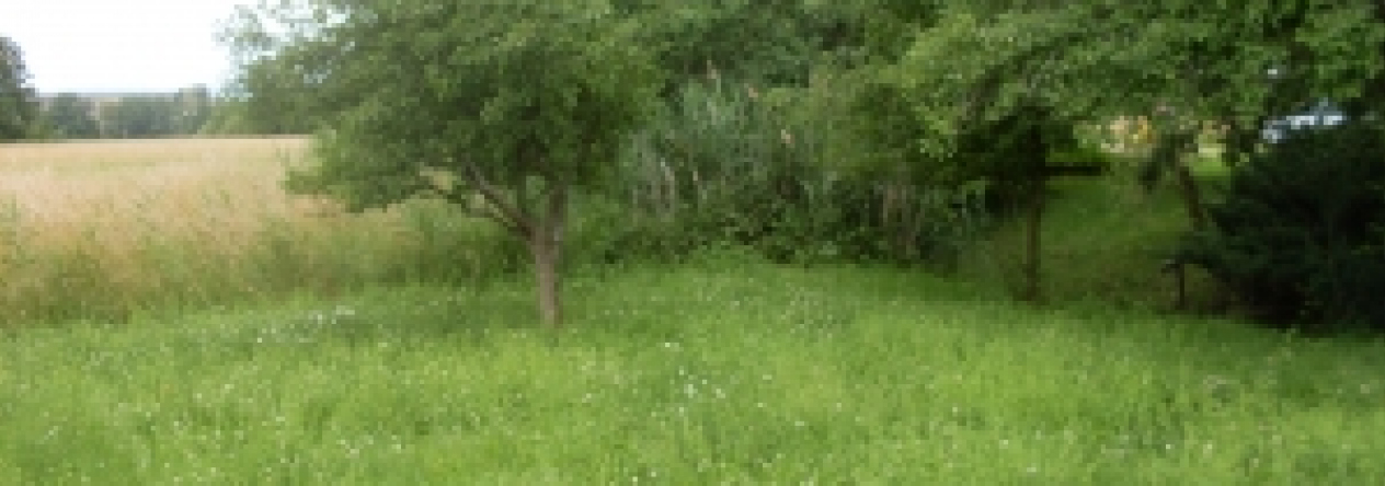 ceske-budejovice4-pc-1217-prehled