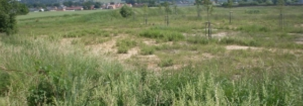 ceske-budejovice4-pc-1219-1-4-vrato-pc-271-5-prehled