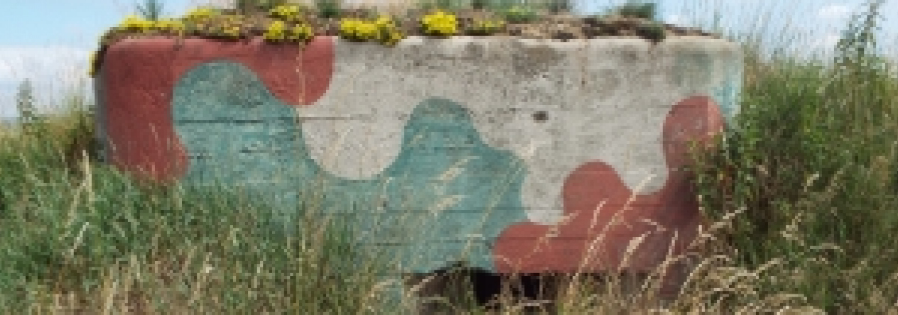 chvaletin-vec-6061-prehled