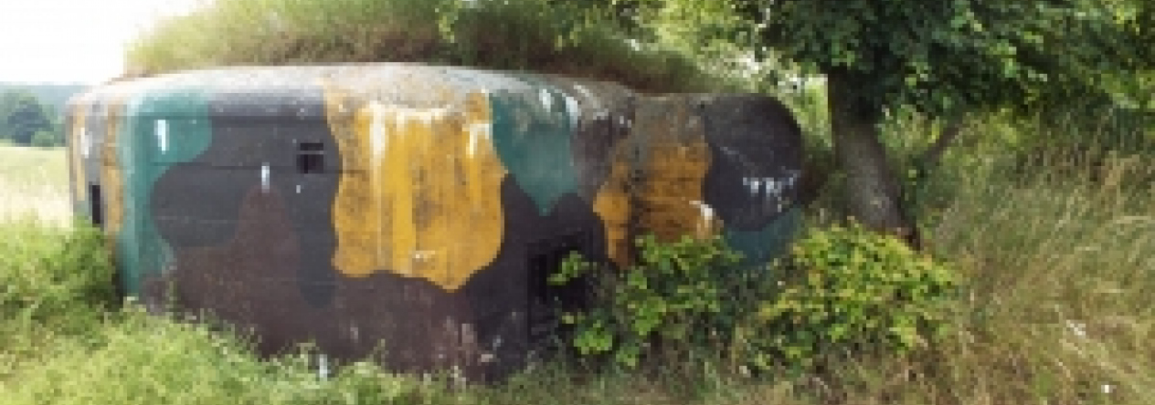 chvaletin-vec-6075-prehled