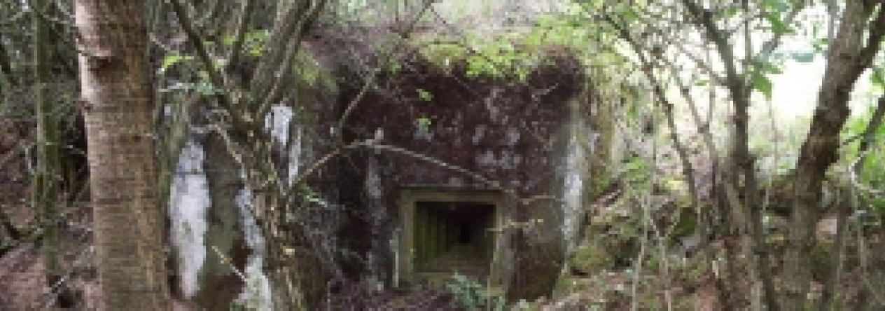 chvaletin-vec-6076-prehled