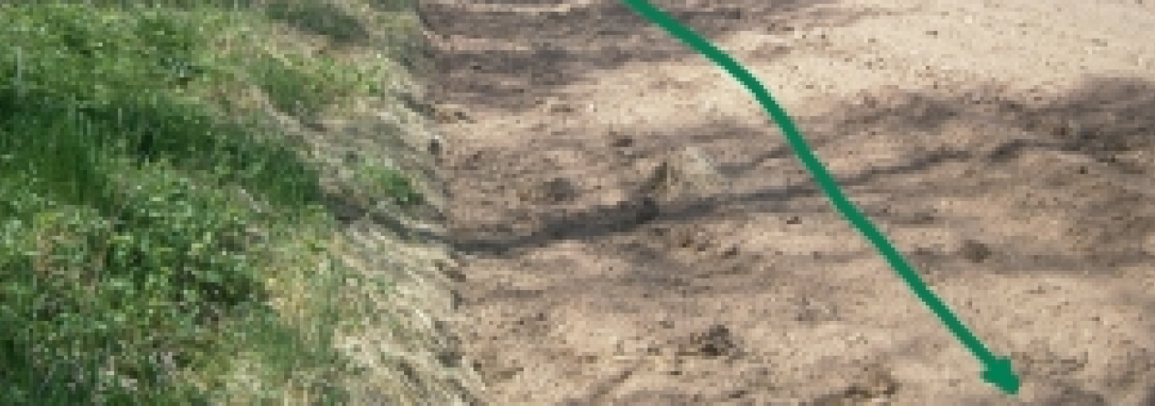 dlouhonovice-pc-2015-prehled