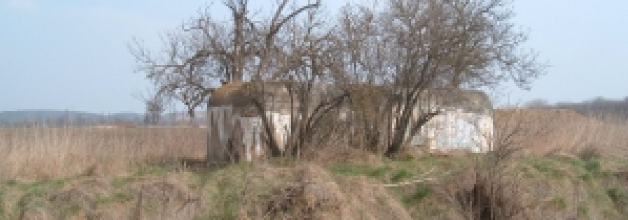 dobre-pole-vec-665ol-prehled