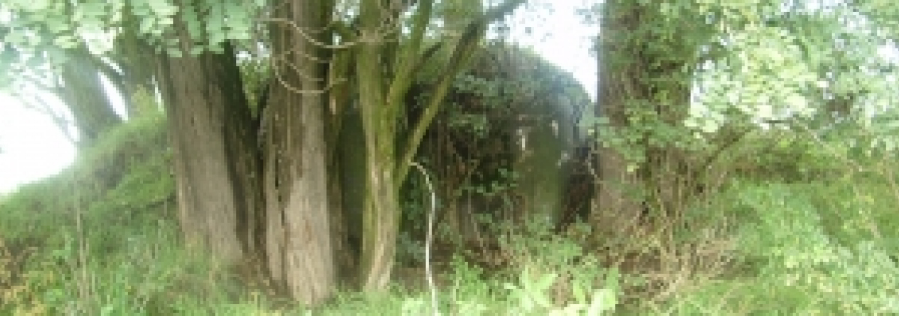 dobre-pole-vec-666ol-prehled