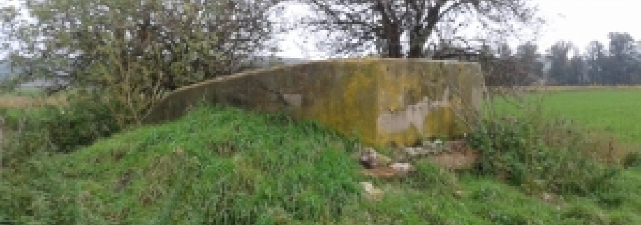 dobre-pole-vec-668ol-prehled