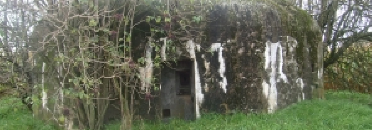 dobre-pole-vec-671ol-prehled