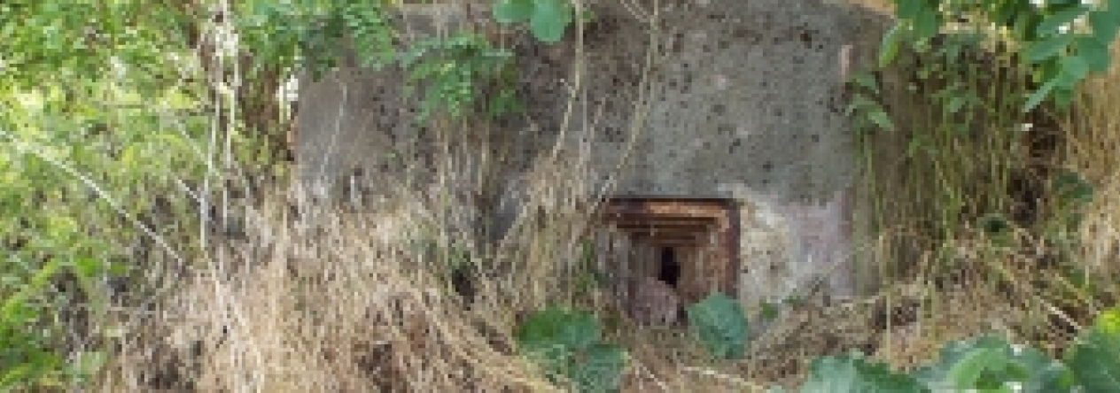 dobre-pole-vec-676ol-prehled