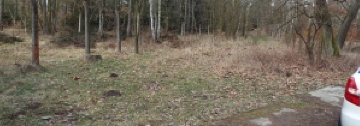 doksy-u-machova-jezera-pc-1244-39-prehled