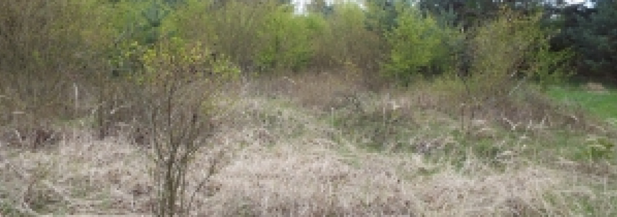 doksy-u-machova-jezera-pc-1244-40-prehled