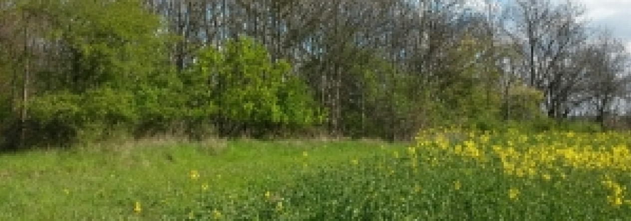 dolni-mecholupy-pc-6402-prehled