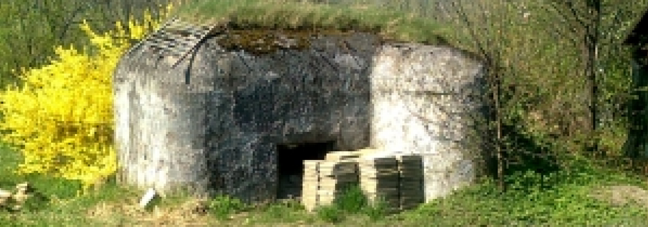 domasov-u-jesenika-vec-225je-prehled