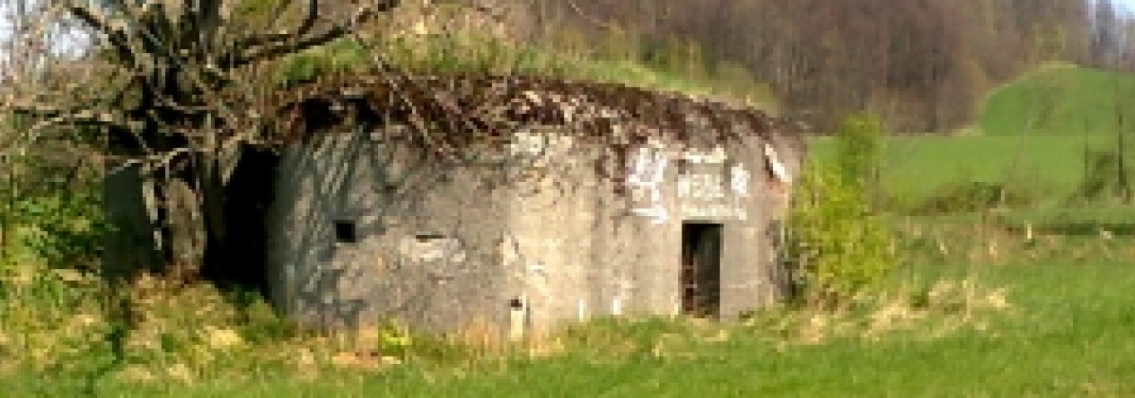 domasov-u-jesenika-vec-228je-prehled