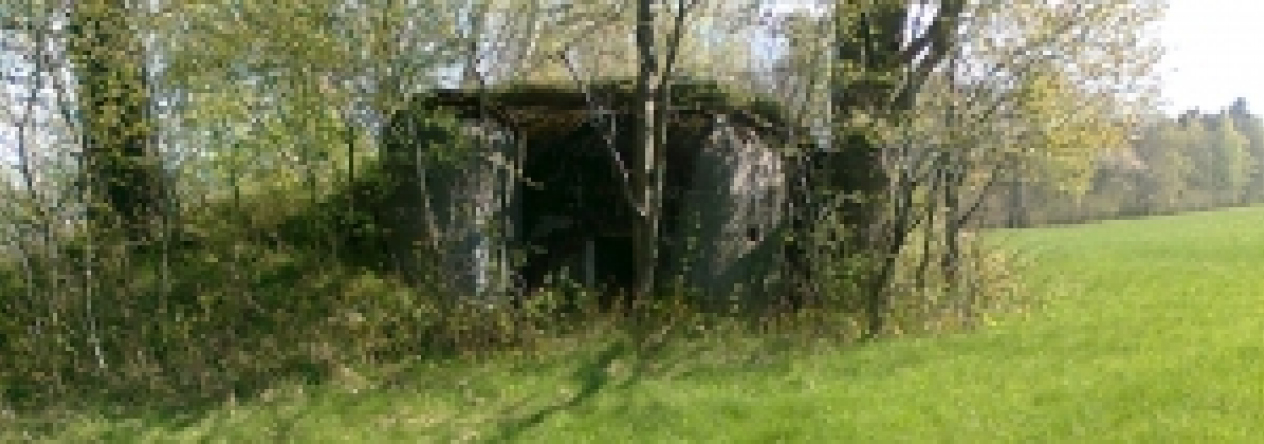 domasov-u-jesenika-vec-231je-prehled