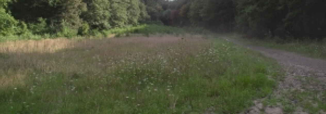 domina-pc-663-6-prehled