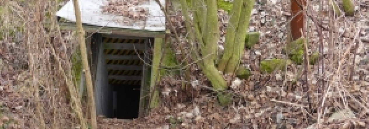 dvur-kralove-nad-labem-pc-756-6-8-prehled