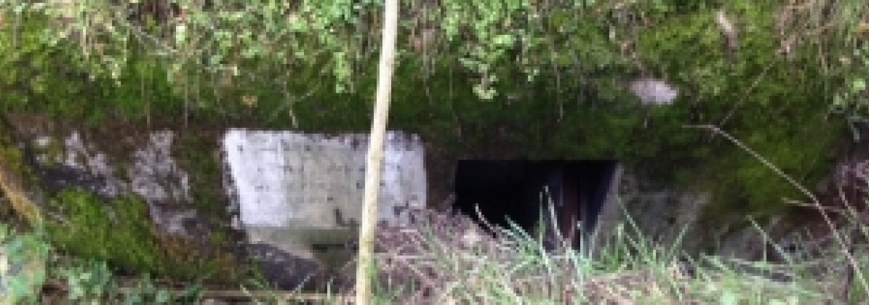 dyje-vec-445ol-prehled