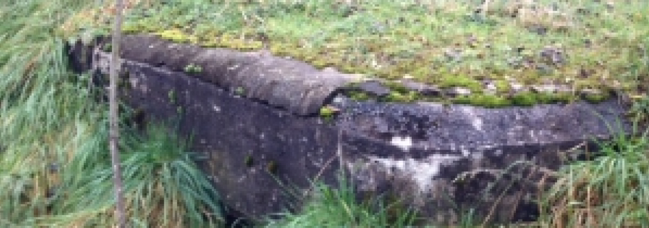 dyje-vec-460ol-prehled