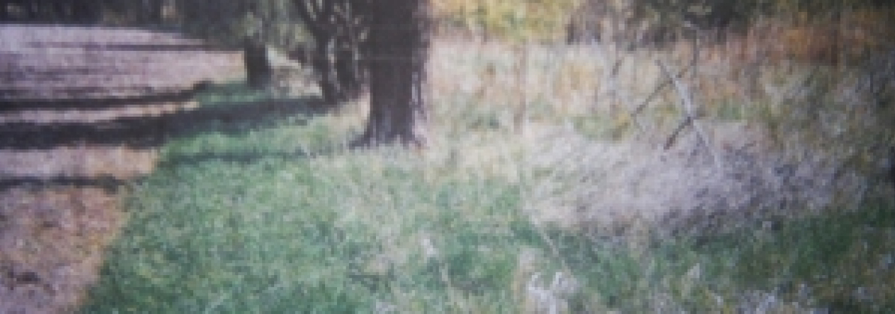 hevlikovice-pc-4921-prehled