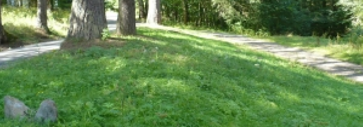 hojsova-straz-podil-pc-425-2-prehled