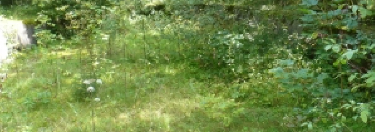 hojsova-straz-podil-pc-431-5-prehled