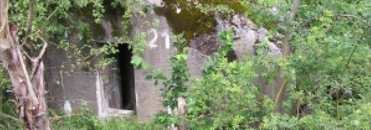 horni-benesov-vec-121br-prehled
