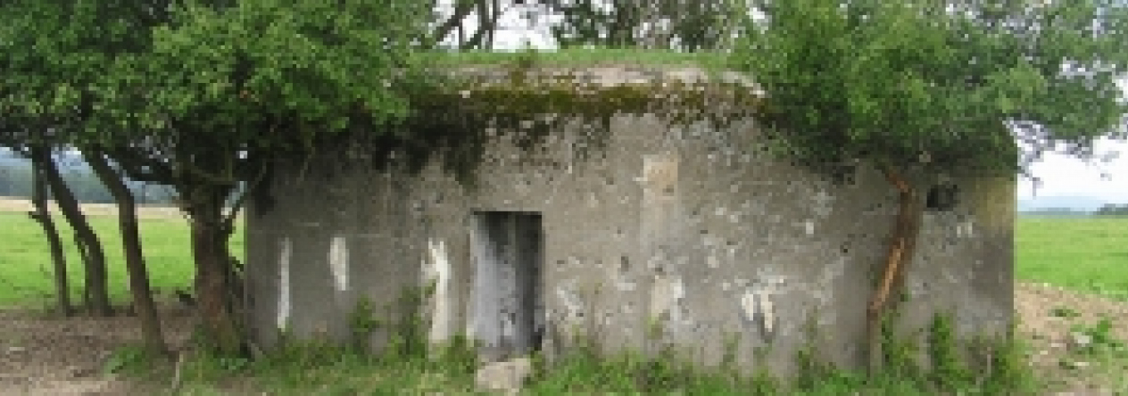 horni-benesov-vec-82br-prehled