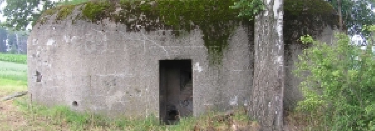 horni-benesov-vec-89br-prehled