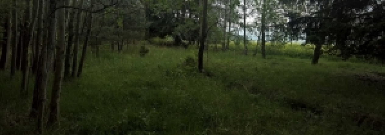 horni-lukavice-pc-2021-prehled