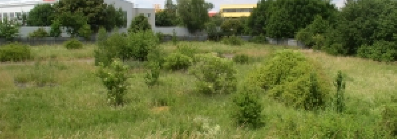 horni-pocernice-pc-4010-2-7-29-sklady-prehled