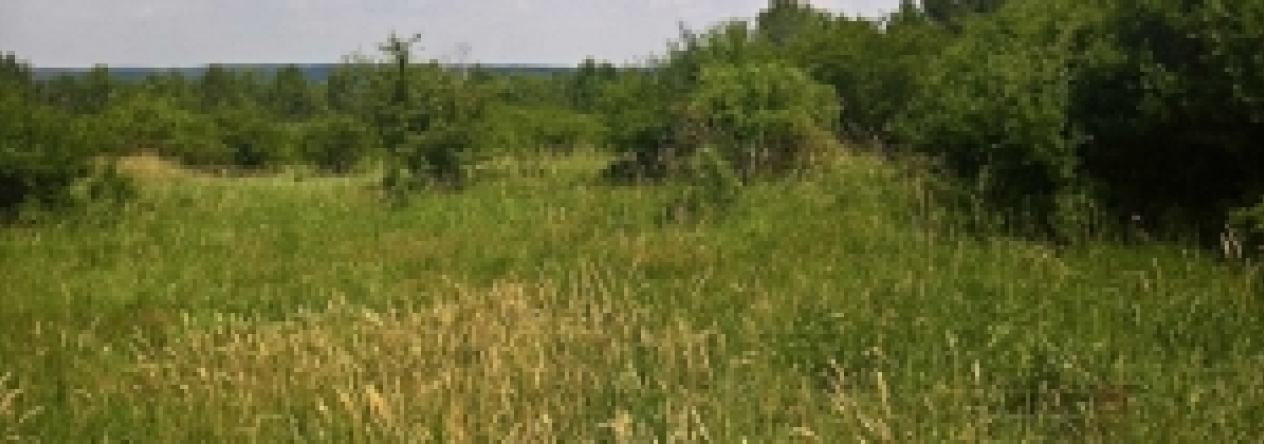 horsovsky-tyn-15-pc-cast-3-prehled