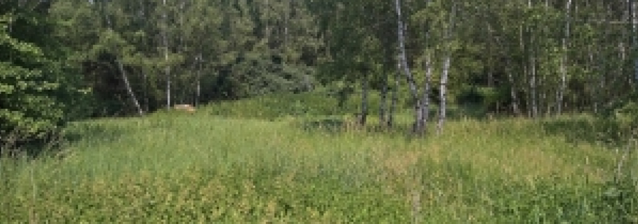 horsovsky-tyn-36pc-prehled