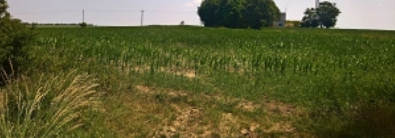 horsovsky-tyn-pc-1146-2-6-1148-2-1149-1153-8-prehled