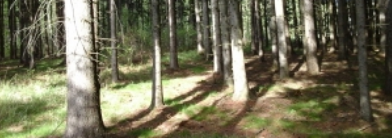 huntirov-pc-1637-2-prehled