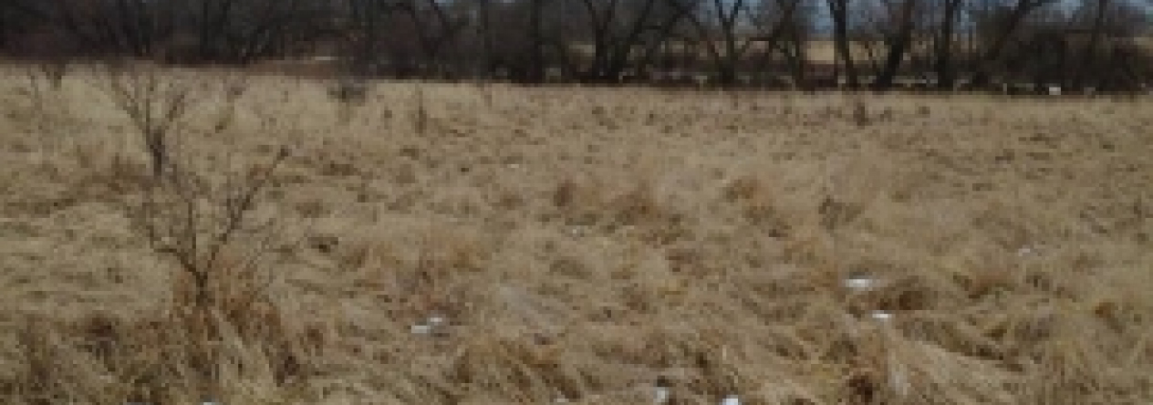 hury-pc-619-1-621-26-27-28-621-34-prehled