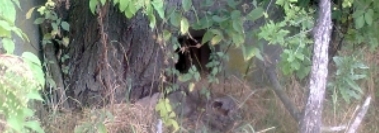 jaktar-vec-47aop-prehled