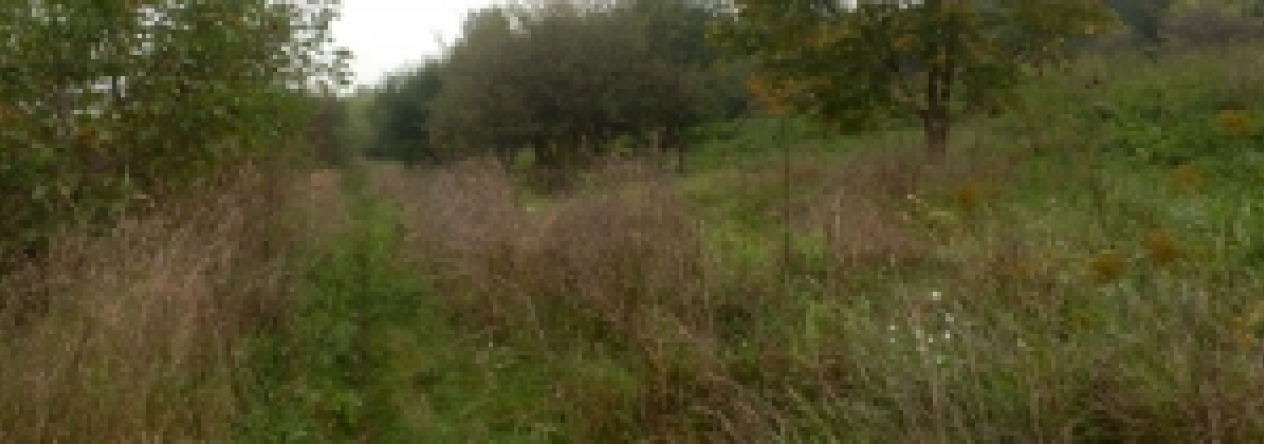 jinonice-pc-1350-2-1353-4-prehled