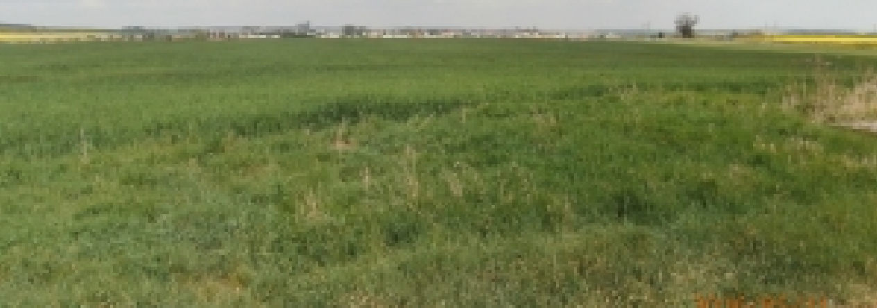 kralovice-u-rakovnika-pc-2606-2-5930-prehled