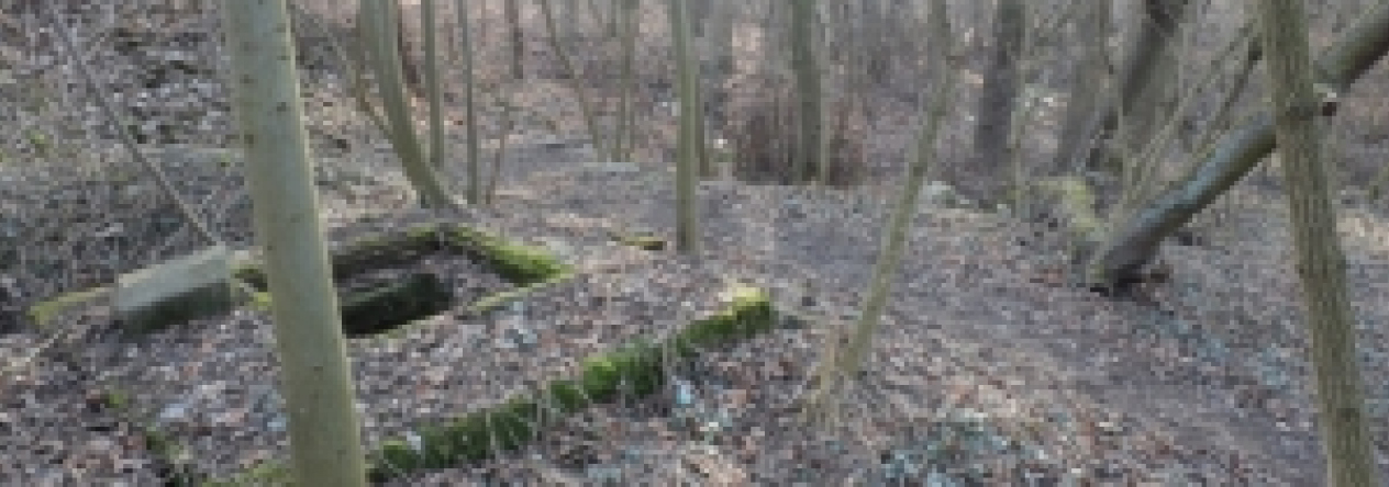 kunratice-pc-1109-1-prehled