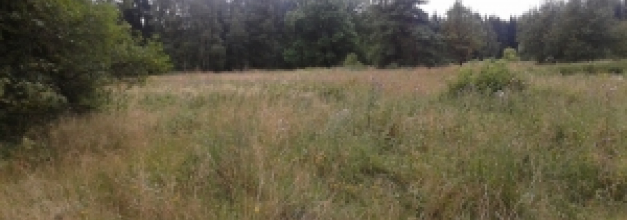 kvetna-pc-2281-2290-prehled