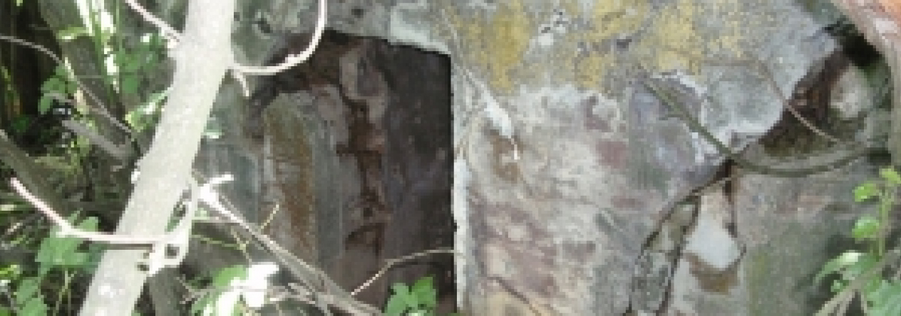 lednice-na-morave-vec-805aol-prehled