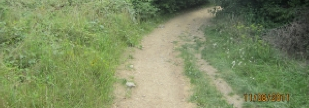 lesna-pc-2kn-18pk-prehled