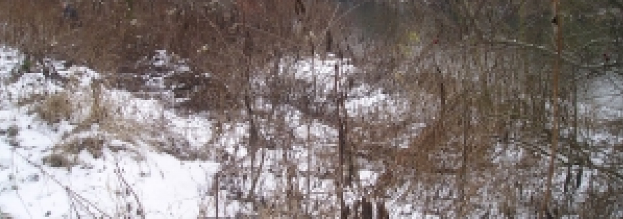 lipnik-nad-becvou-pc-2882-prehled