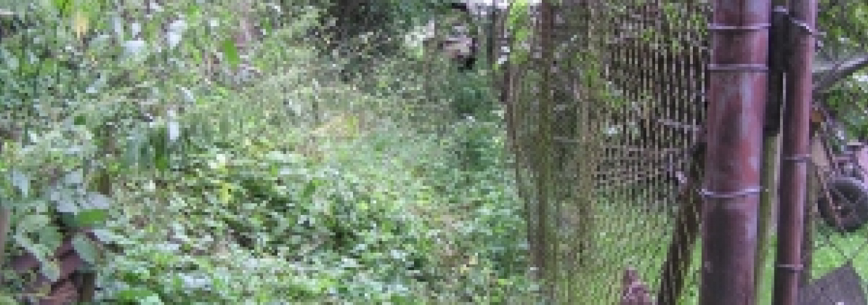 litvinovice-pc-476-1-479-prehled