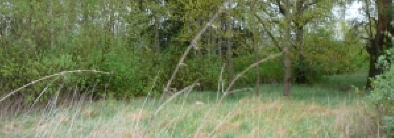 lomnice-nad-luznici-pc-2262-11-prehled