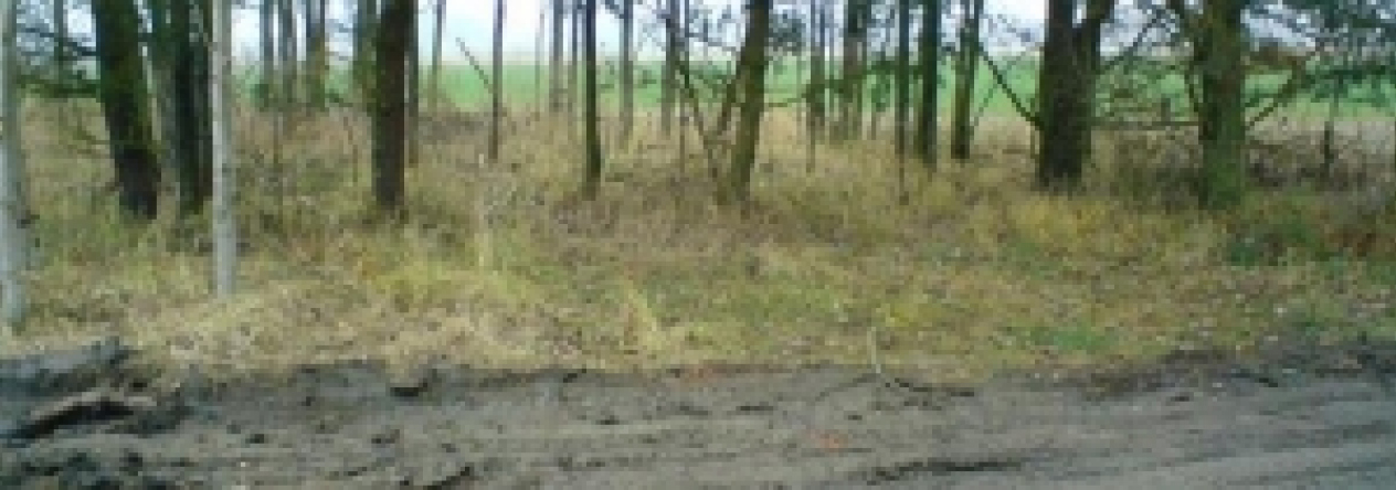 lomnice-nad-luznici-pc-415-5-10-11-23-24-prehled